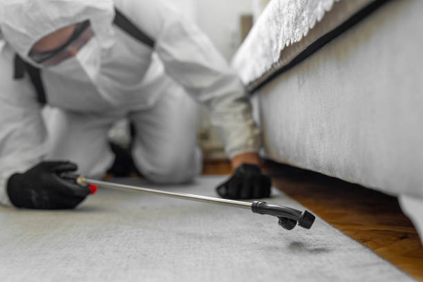 Professional Pest Control technician working in North Merritt Island, FL
