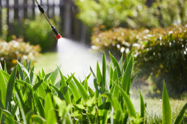 24/7 Emergency Cockroach Control experts in North Merritt Island, FL