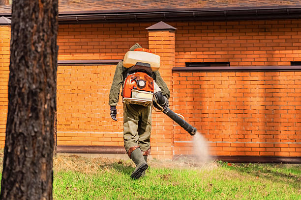 Trusted Bed Bug Control service in North Merritt Island, FL - Nex Pest Control